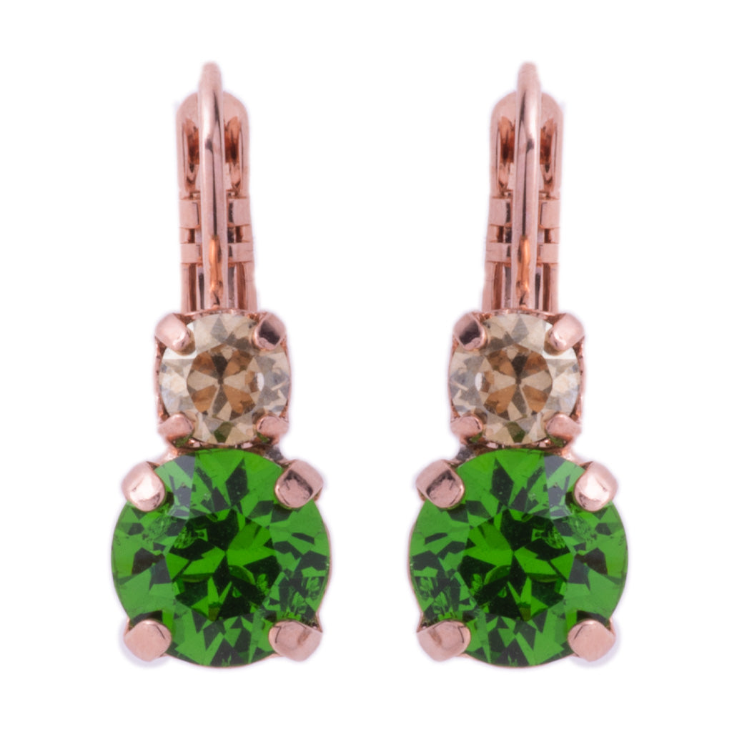 Medium Double Stone Leverback Earrings in "Circle of Life" *Custom*