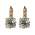Medium Leverback Earrings in Clear *Custom*