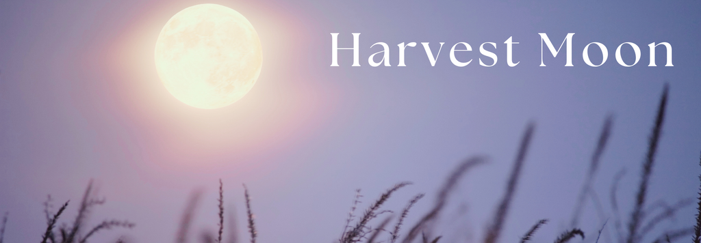 Harvest Moon