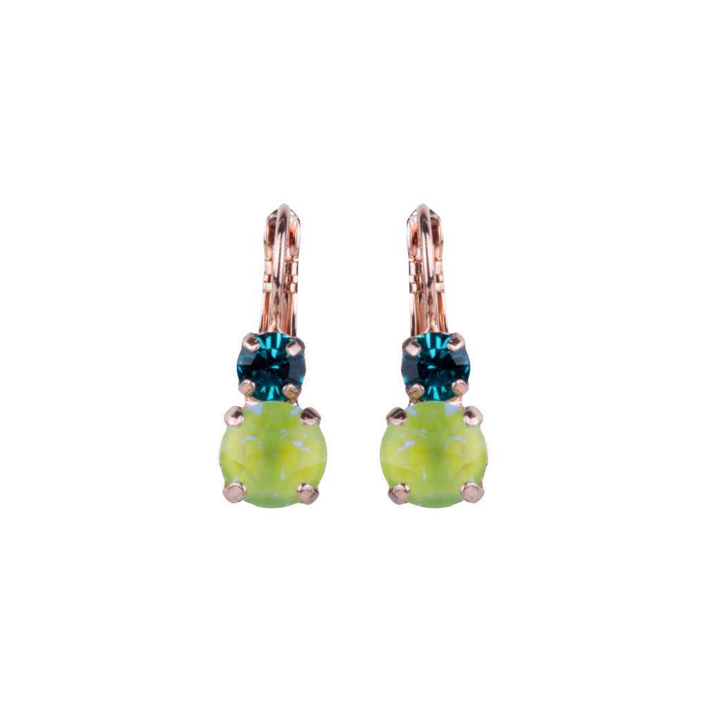 Medium Double Stone Leverback Earrings "Ivy Villa" *Custom*