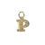 Clear Crystal Insignia Charm- Choose Your Letter - *Custom*