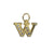 Clear Crystal Insignia Charm- Choose Your Letter - *Custom*