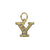 Clear Crystal Insignia Charm - Choose Your Letter - Yellow Gold, Rhodium, Rose Gold