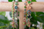Extra Luxurious Starburst Necklace in "Ivy Villa" *Custom*